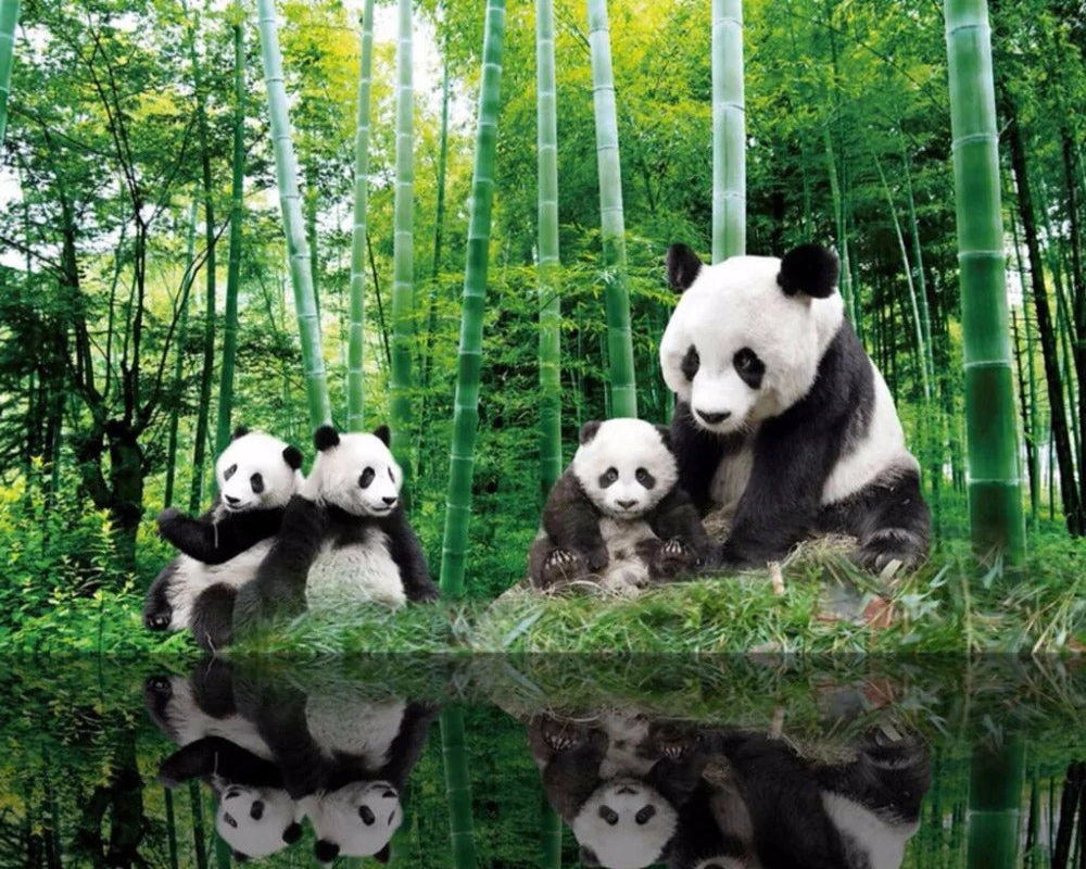 Kung Fu Panda 3D Wallpapers  Wallpaper Cave